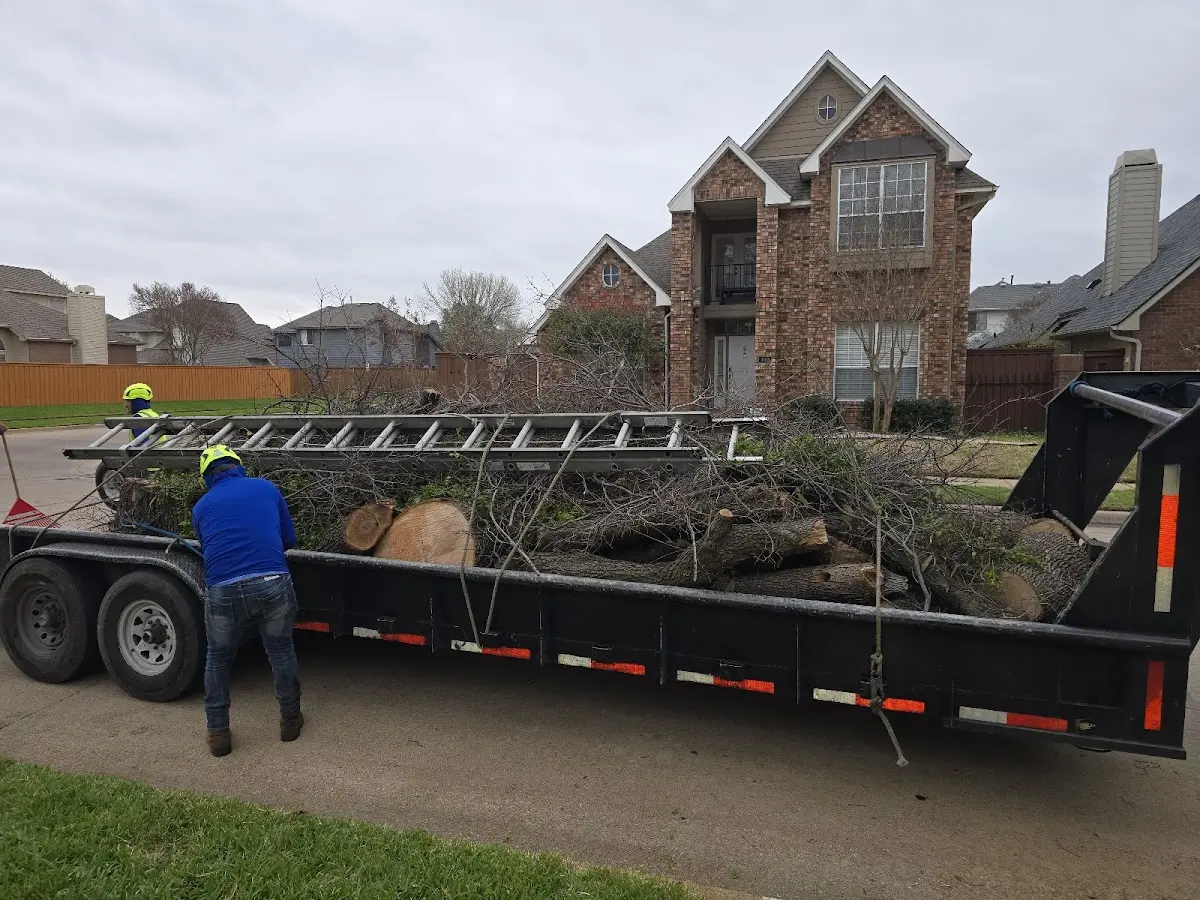 Expert Lot Clearing with proper safety equipment in Blue Mountain